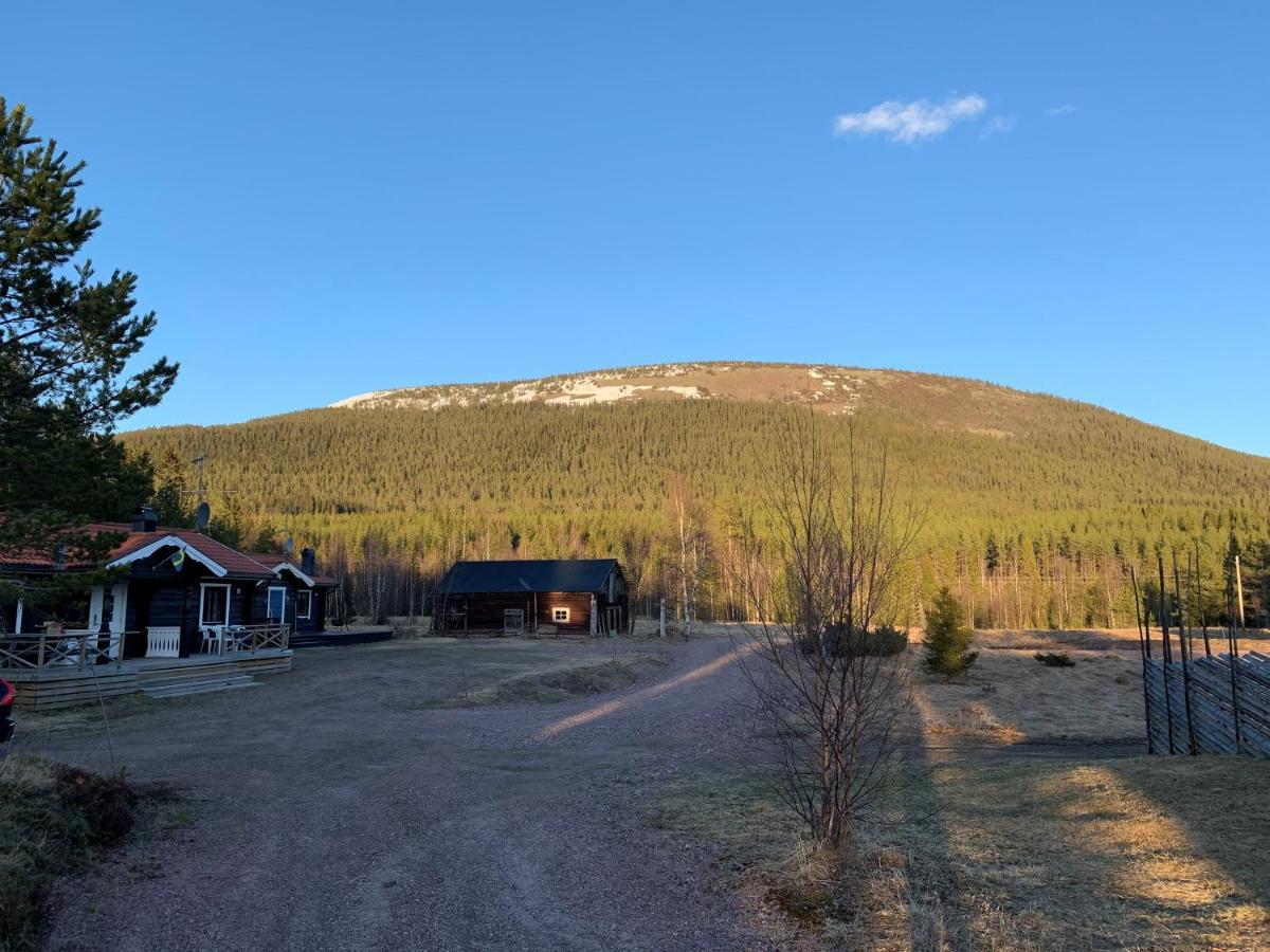 Nymon Mountain Lodge Stöten Eksteriør bilde