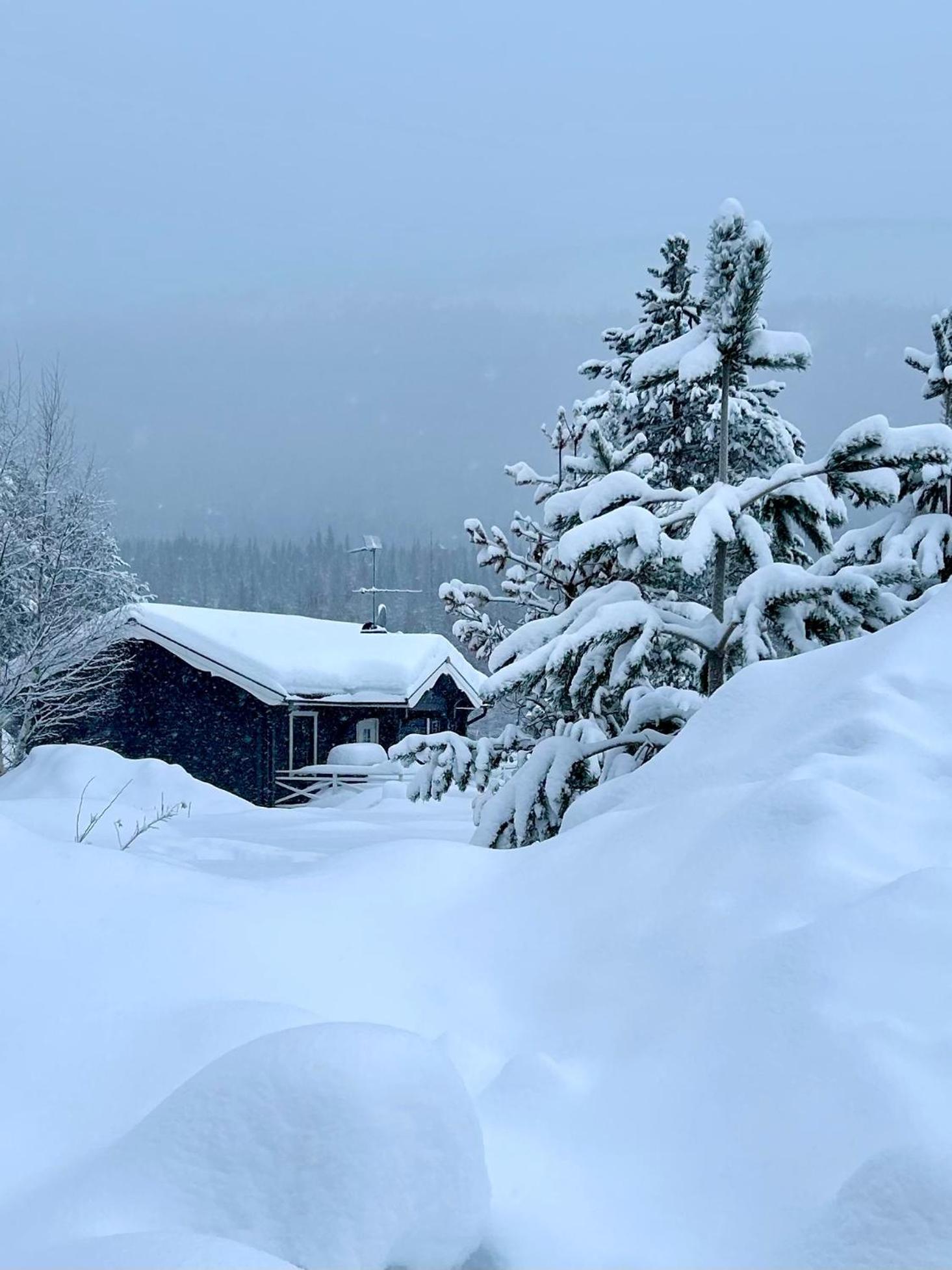 Nymon Mountain Lodge Stöten Eksteriør bilde