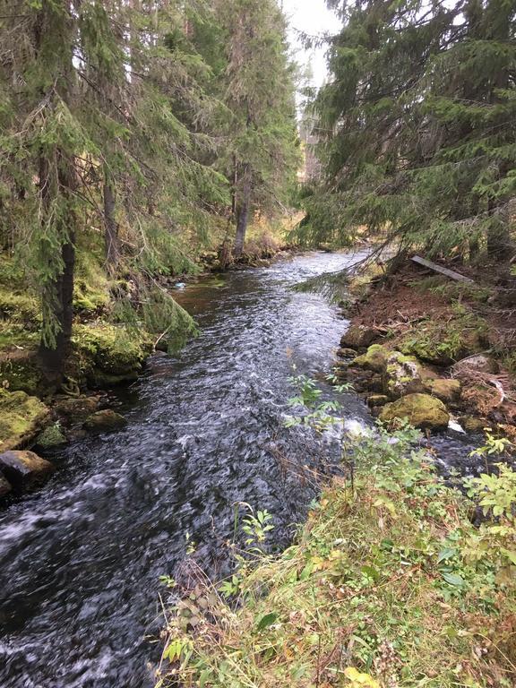 Nymon Mountain Lodge Stöten Eksteriør bilde